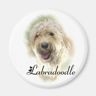 Íman Presentes de Labradoodle Lovers