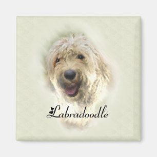 Íman Presentes de Labradoodle Lovers