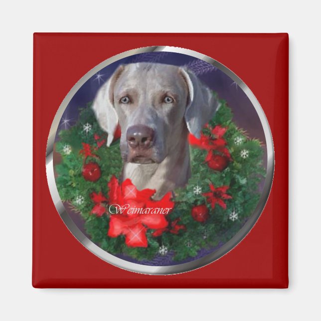 Íman Presentes de Natal do Weimaraner (Frente)