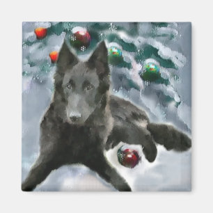 Íman Presentes de Natal em Sheepdog Belgas