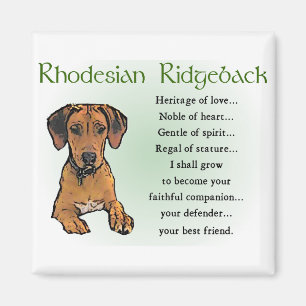 Íman Presentes de Rhodesian Ridgeback