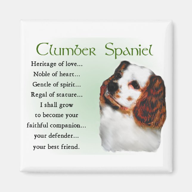 Íman Presentes do Clumber Spaniel (Frente)