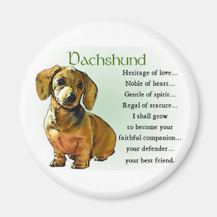 Íman Presentes do Dachshund