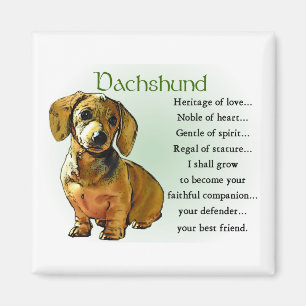 Íman Presentes do Dachshund