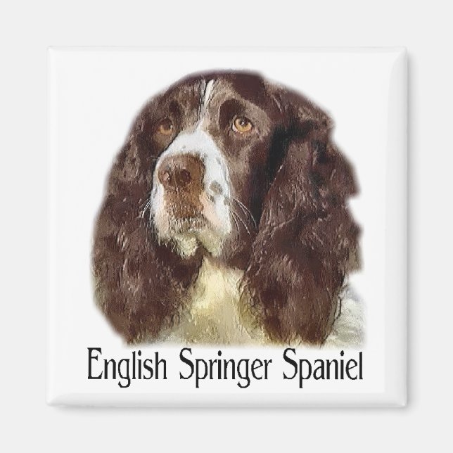 Íman Presentes do English Springer Spaniel (Frente)