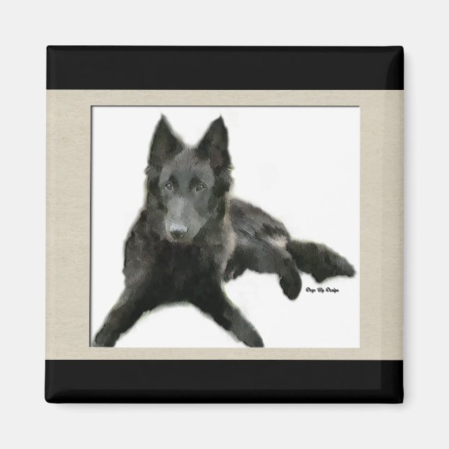 Íman Presentes do Groenendael Belgian Sheepdog (Frente)