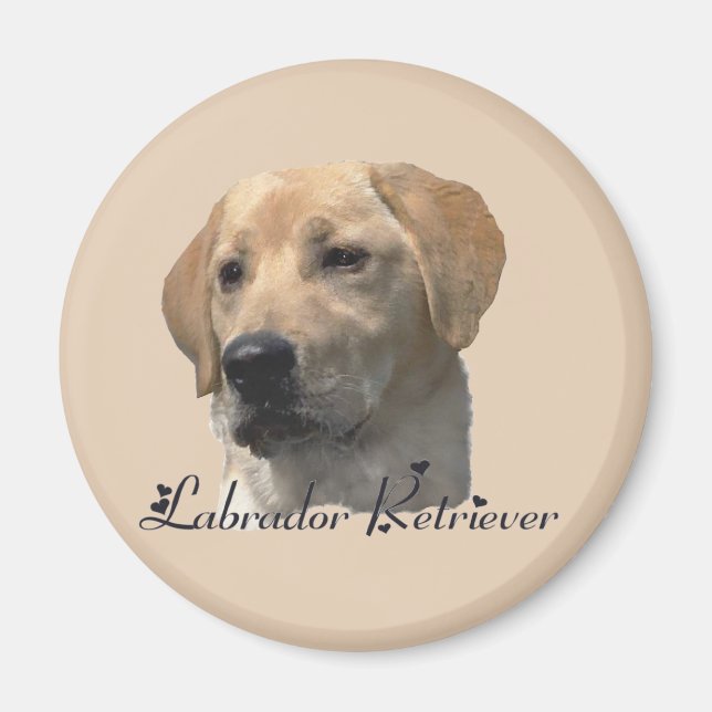 Íman Presentes do Labrador Retriever (Frente)
