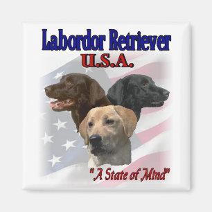 Íman Presentes do Labrador Retriever