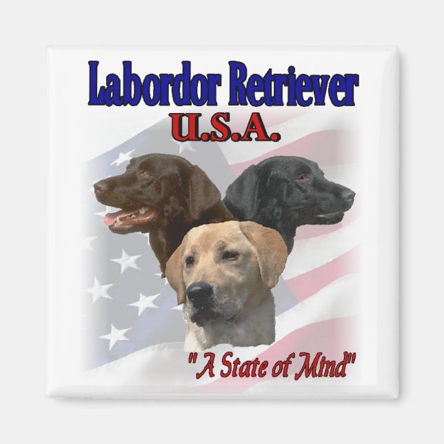 Íman Presentes do Labrador Retriever (Frente)