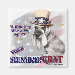 Íman Presentes do Miniature Schnauzer