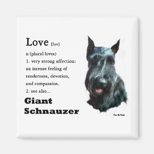 Íman Presentes do Schnauzer gigante
