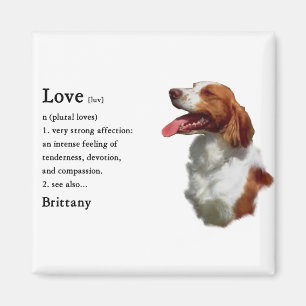 Íman Presentes do Spaniel de Brittany
