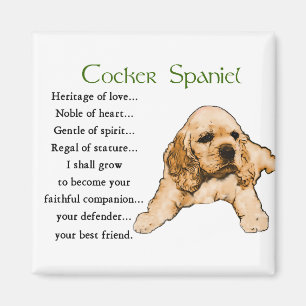 Íman Presentes dos amantes de cocker spaniel