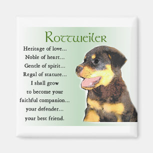 Íman Presentes dos amantes de Rottweiler