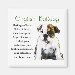 Íman Presentes ingleses do buldogue
