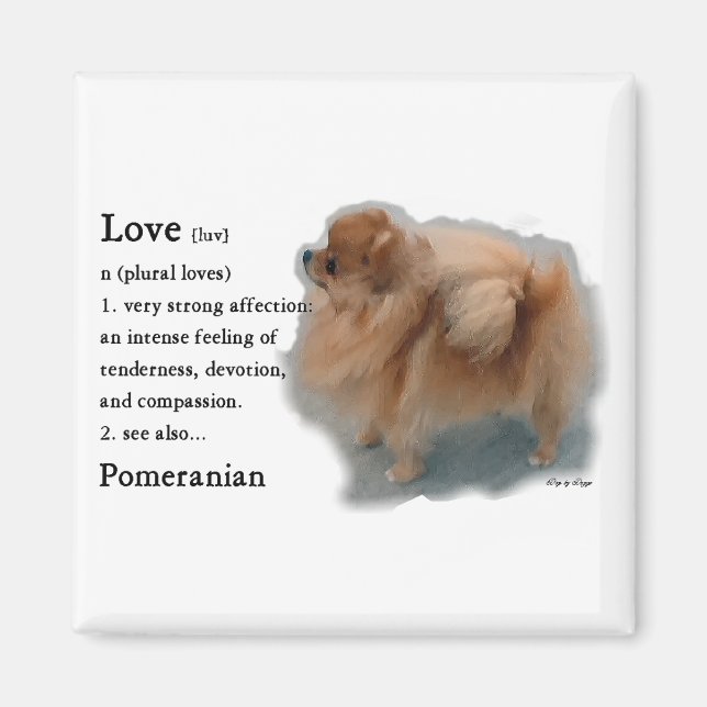 Íman Presentes Pomeranianos (Frente)