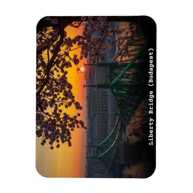Íman presentes ponte da liberdade vintage budapest hung (Vertical)