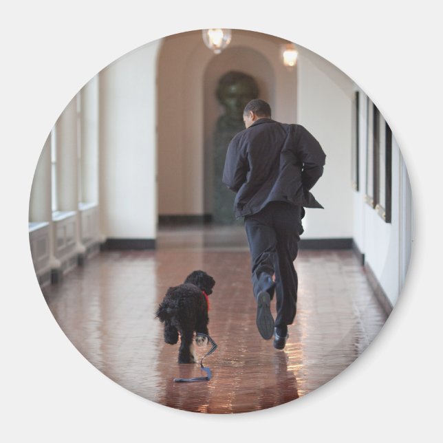 Íman Presidente Barack Obama e Bo (Frente)