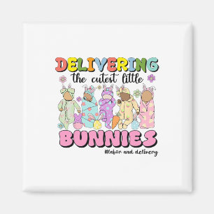 Íman Prestação De Mão De Obra E De Entrega Dos Bunnies 