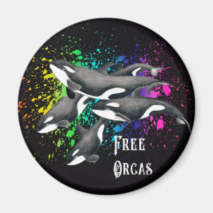 Íman Preto do respingo da aguarela das baleias da orca