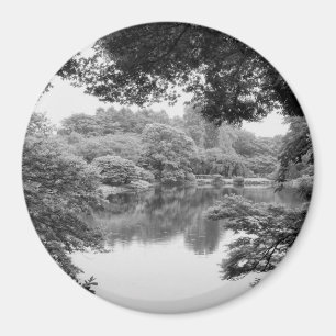 Íman Preto e branco, legal, natureza única e lago