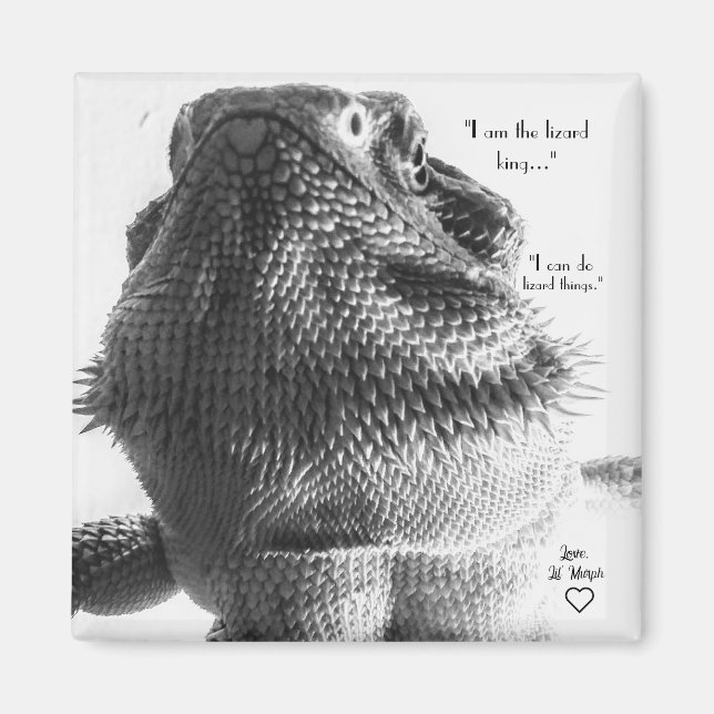 Íman Preto e Branco Lizard (Frente)