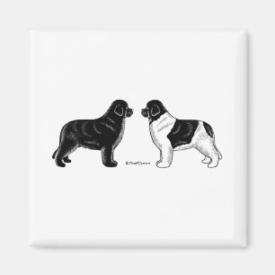 Íman Preto e cães de Landseer Terra Nova
