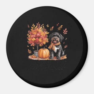 Íman Preto Labradoodle outono outono outono outono outo