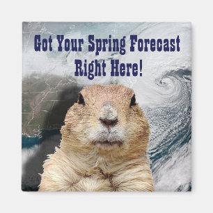 Íman Previsão de Primavera de Groundhog