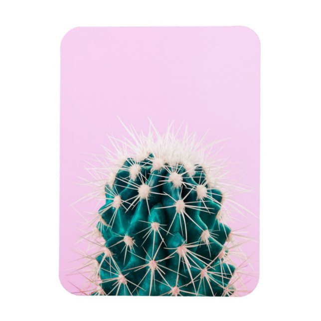 Íman Prickley Cactus a Rosa (Vertical)