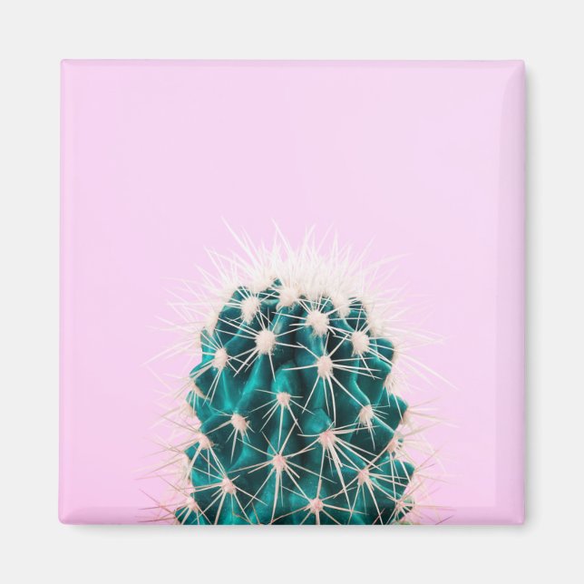 Íman Prickley Cactus a Rosa (Frente)
