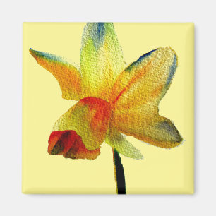 Íman Primavera
