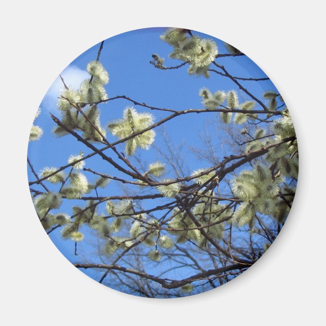 Íman Primavera (Frente)