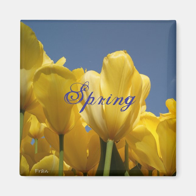 Íman primavera (Frente)