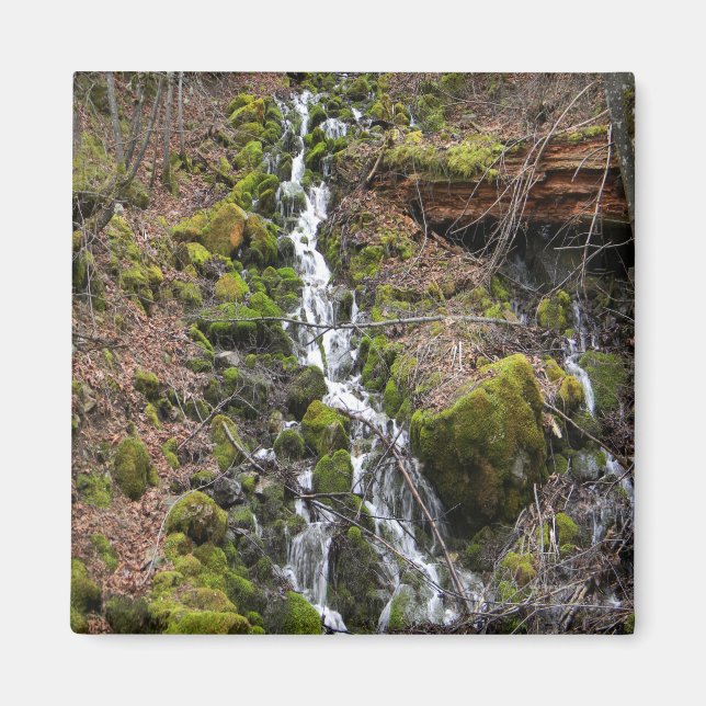 Íman Primavera.... (Frente)