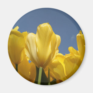 Íman primavera amarelo