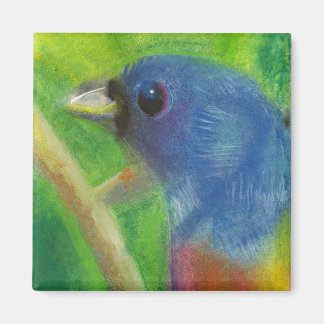 Íman Primavera Bird Magnet