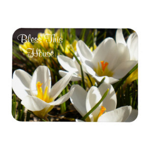 Íman Primavera Crocus "Abençoe Esta Casa" Magnet