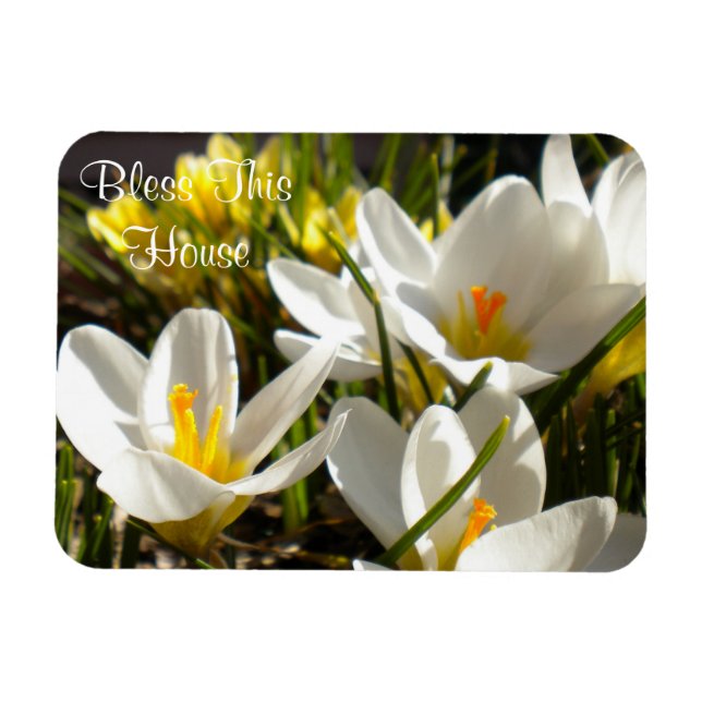 Íman Primavera Crocus "Abençoe Esta Casa" Magnet (Horizontal)