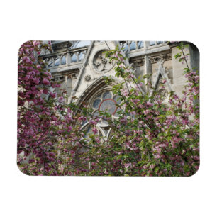 Íman Primavera de Notre Dame