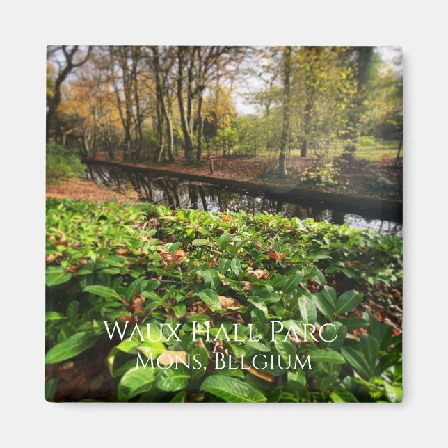 Íman Primavera em Waux Hall parc em Mons, Bélgica (Frente)