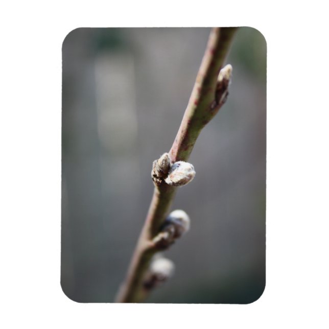 Íman Primavera está chegando (Vertical)