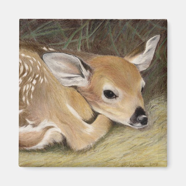 Íman Primavera Fawn (Frente)