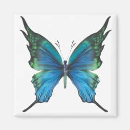 Íman Primavera Myst