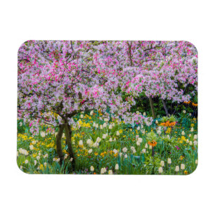 Íman Primavera no jardim de Claude Monet