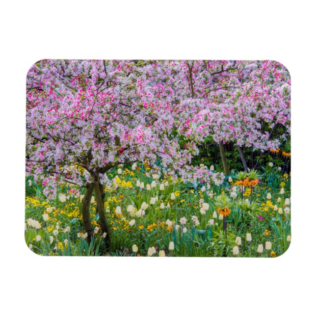 Íman Primavera no jardim de Claude Monet (Horizontal)