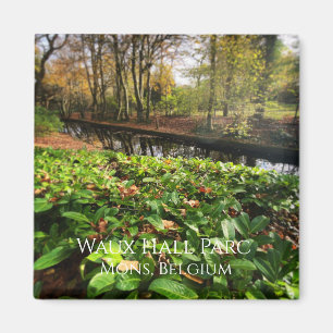 Íman Primavera no parque Waux Hall em Mons, Bélgica