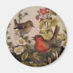 Íman Primavera Robin Birds Red Birds