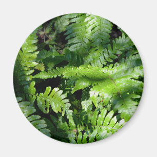 Íman Primavera Verde-Ferns