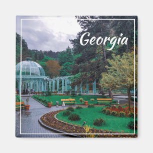 Íman Primaveras Quentes Borjomi Georgia Causam Montanha